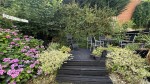 Images for Thackeray Road, Ravenscliffe