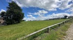 Images for Mount Avenue, Eccleshill